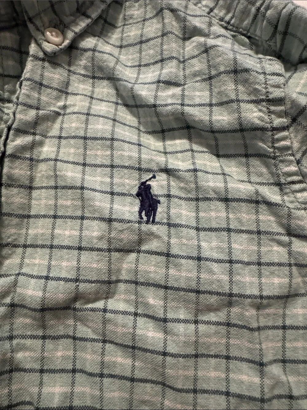 Ralph Lauren Light Mint and Navy Grid Button-Up Shirt